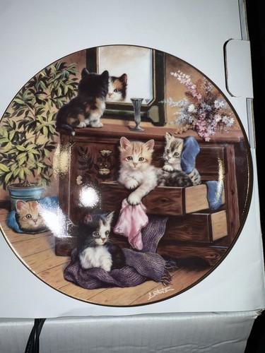 Wandteller katzen am - ,