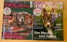 Zeitschrift DOGStoday Hunde