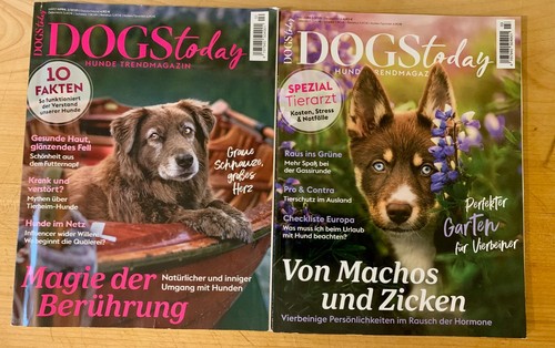 Zeitschrift dogstoday hunde - zeitschrift,