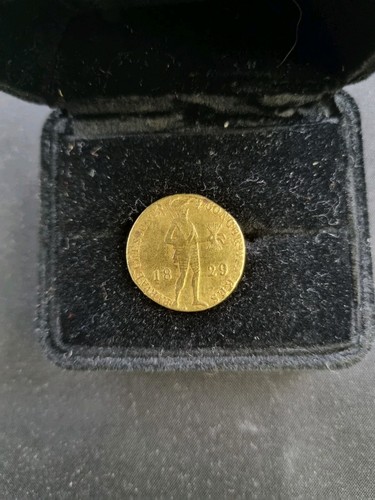 Gold münze niederlande - münze,