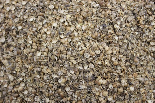 1000kräuter brotgewürz brot - brotgewürz,