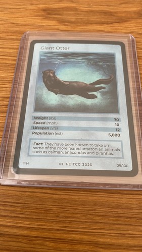 Life tcg 2023 - 2023, giant