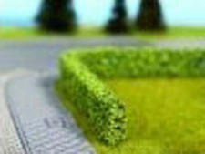 Noch 21522 - Modellhecken