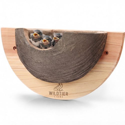 Wildtier liebe schwalbennest - wildtier,