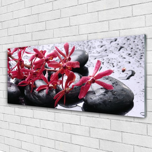 Acrylglasbilder wandbilder aus - wandbilder,