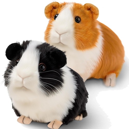 Meerschweinchen kuscheltier - meerschweinchen, 2