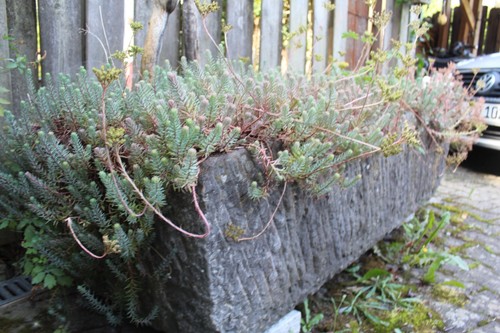 Granittrog steintrog - granittrog,