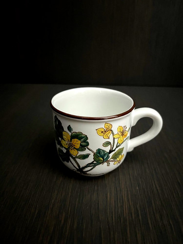 Villeroy und boch botanica - boch,