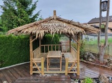 Thailändischer Bambus