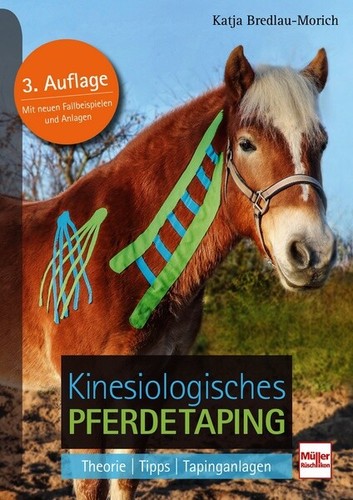 Kinesiologisches pferde taping - kinesiologisches, pferde-taping