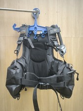 Northern Diver Flight Travel