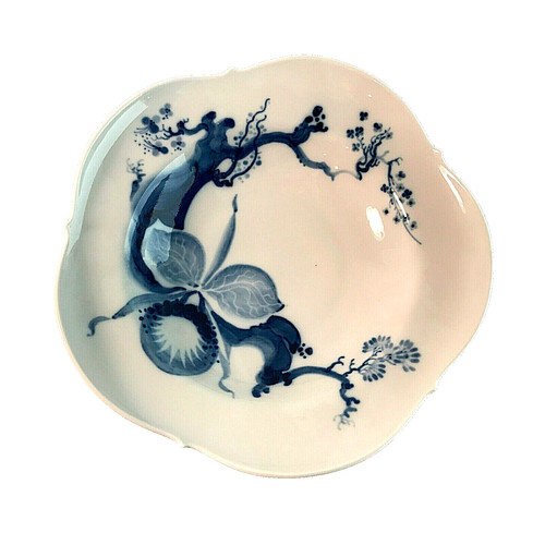 Meissen orchidee auf ast - orchidee,