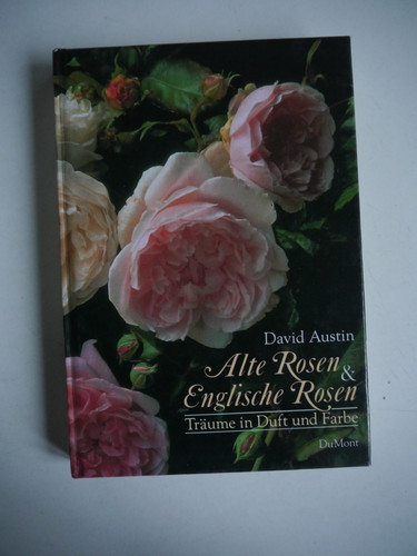 Alte rosen englische - englische,