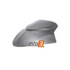 Carbon Windschutzscheibe für