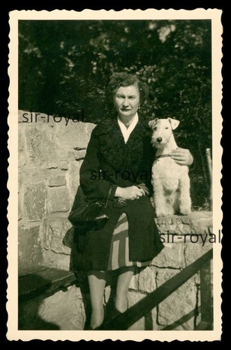 Frau mit foxterrier hund - mit,