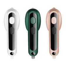 Mini -Dampfer -Reise Eisen