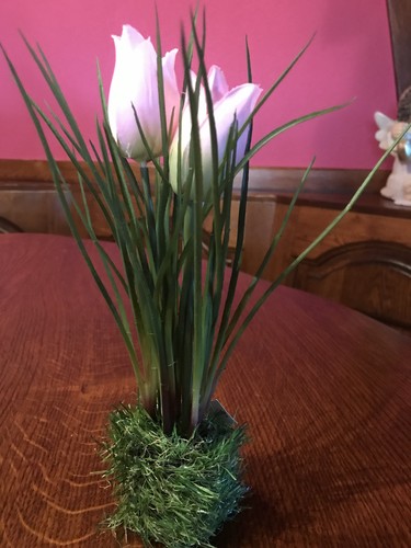 Tulpen auf grassockel - tulpen,