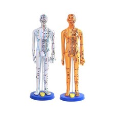 Chinesisches Akupunkturmodell