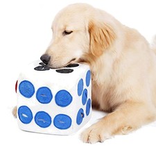 Hund schnüffelteppich