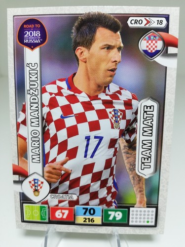Panini adrenalyn road to - road,