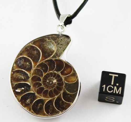 Collier mit ammonite - mit,