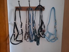 Halfter Für Warmblut