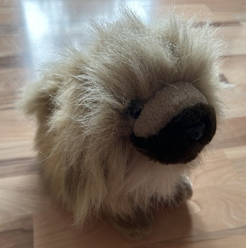 Kuscheltier hund pekinese - kuscheltier,
