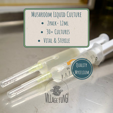 Pack mushroom liquid culture - pack,