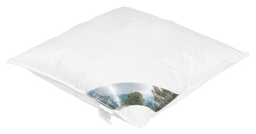 Kopfkissen kissen daunenkissen - kopfkissen,