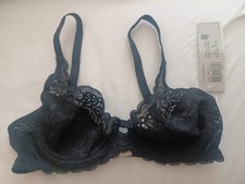 Triumph BH Amourette Spotlight