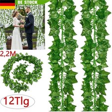 12x2.2m Efeugirlande Efeubusch