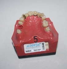 Go Dent Schaumodell Nr. 5  #