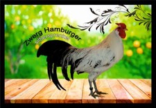Fußmatte Schmutzfangmatte Hühner Zwerg Hamburger silbersprenkel F1349