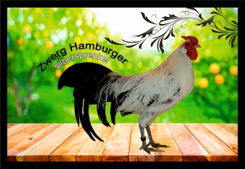 Fußmatte schmutzfangmatte - fußmatte,