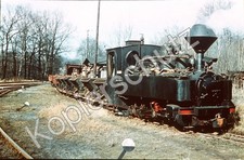 Waldeisenbahn Muskau   Lok