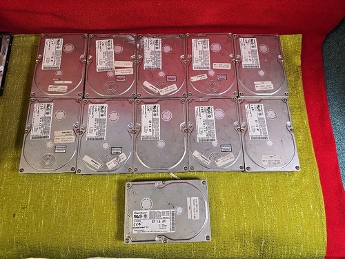 11x quantum festplatten - 3,5,