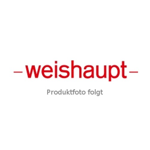 Weishaupt manometer mpa - manometer, 0-4