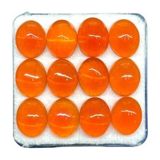 12 Stück Natürlich Orange