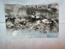 AK Naturschutzgebiet Georgenfelder Hochmoor /DDR/ Echt Foto