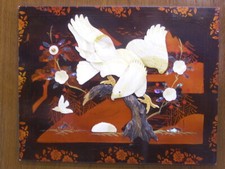 "ADLER" PERLMUTTBILD: MUSCHEL