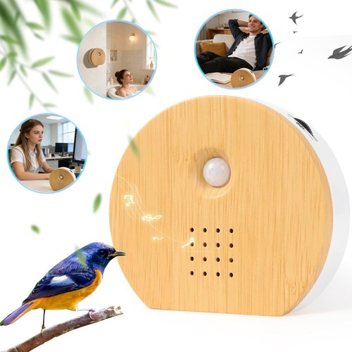 Vogelgezwitscher box - vogelgezwitscher,