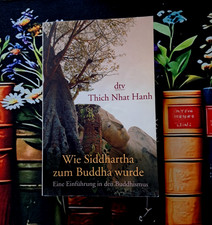 Wie Siddhartha zum Buddha