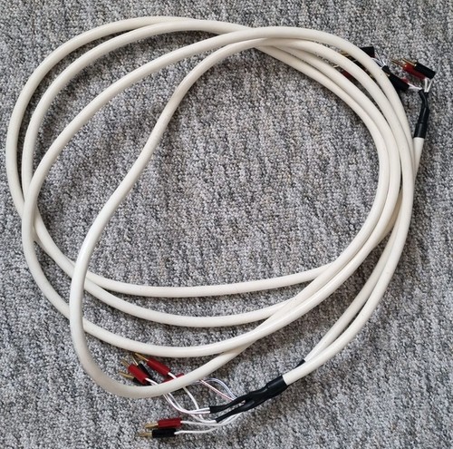 Chord company odyssey - company, 4