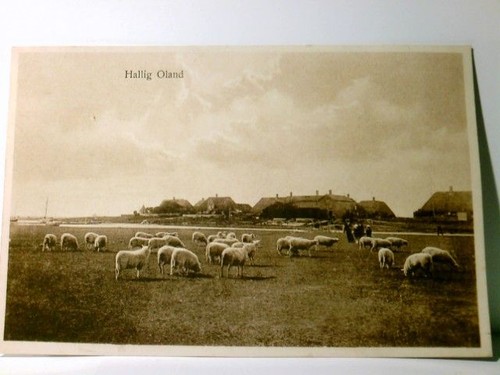 Hallig oland langeneß - oland,