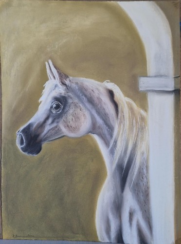 Kreidebild gebraucht 30 - 40, x
