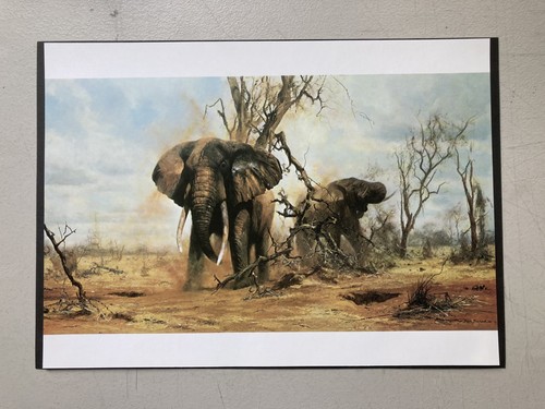 Afrikanischer elefant wildtier - afrikanischer,