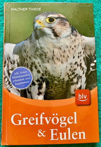 Greifvögel eulen von - greifvögel,