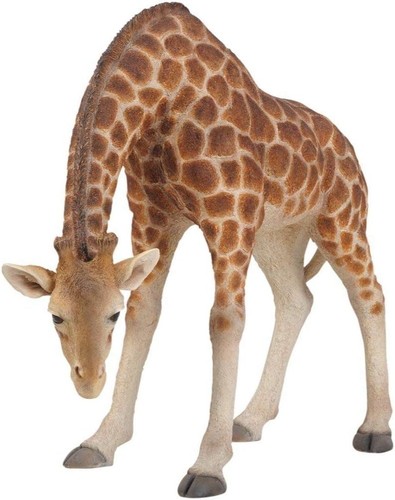 Vivid arts giraffe groß - -,