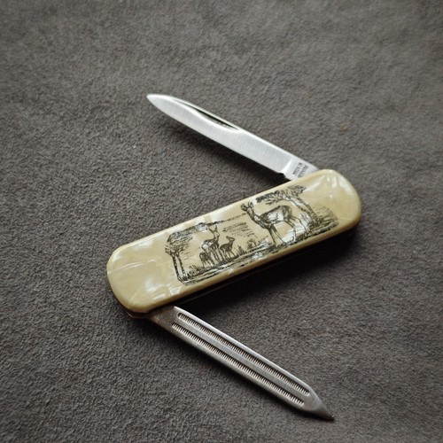 Kleines altes taschenmesser - kleines,