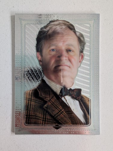 Panini harry potter - harry, magical
